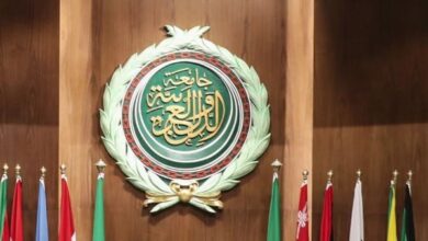 أستاذة علوم سياسية تدعوا لتحرك عربي عاجل لتوحيد الموقف إزاء العدوان