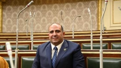 إفريقية النواب تطالب بتنفيذ رؤية الرئيس السيسي لتحقيق الأمن والسلم بالدول الأفريقية