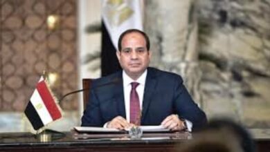 الرئيس السيسي يوجه الشكر للدول أعضاء اللجنة التوجيهية لـ النيباد