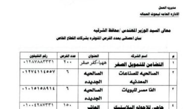 الشرقية تعلن توفير 3761 فرصة عمل بالقطاع الخاص
