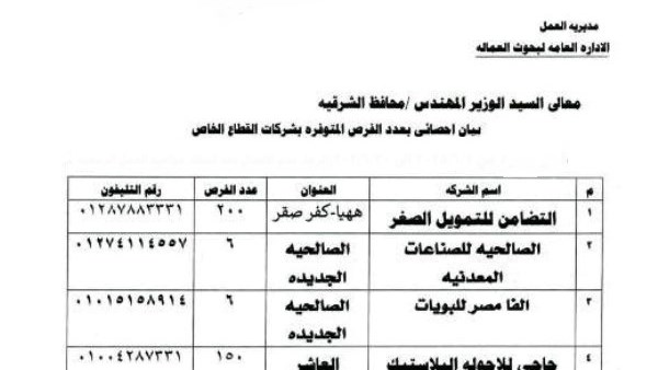 الشرقية تعلن توفير 3761 فرصة عمل بالقطاع الخاص