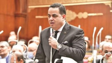 انتخابات الشيوخ استحقاق دستوري يجسد نضج التجربة الديمقراطية في مصر
