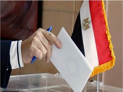 انتخابات مجلس الشيوخ .. تقدم 19 مرشحا لخوض الانتخابات في البحيرة