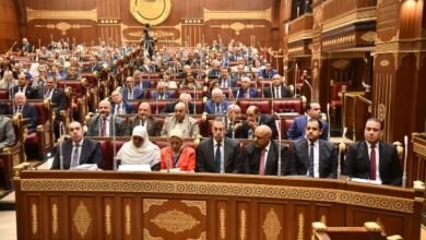انطلاق الدعاية الانتخابية لمجلس الشيوخ غدا..وغرامة 100ألف جنيه عقوبة المخالفة