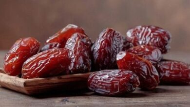 بدعم رئاسي ومشروع المليون نخلة| مصر تتصدر إنتاج التمور عالميًا.. نقيب الفلاحين يوضح