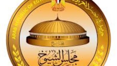 بعد بدء تلقي الطعون .. موعد الإعلان عن الكشوف النهائية لمرشحي الشيوخ