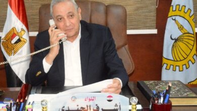 بنات الغربية يتربعن على عرش التفوق الفني.. والمحافظ يهنئ أوائل الجمهورية هاتفيًا