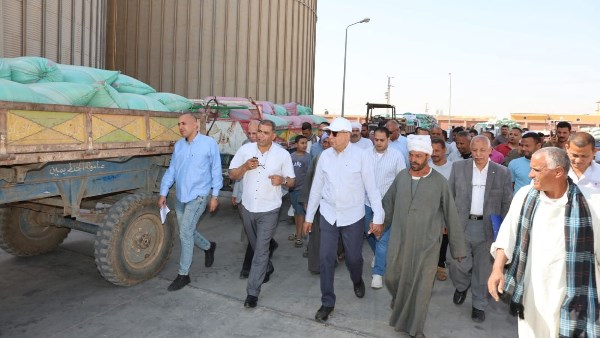 توريد 515 ألف طن قمح منذ بدء الموسم بزيادة 180 ألف طن عن العام الماضي