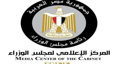 حقيقة وقف الدعم الحكومي لمحصول الذرة الشامية