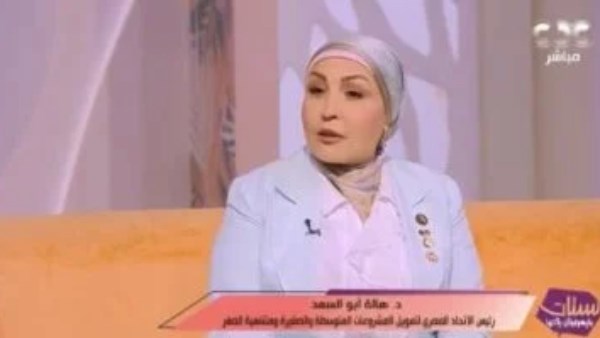 خريطة التمويل للمشروعات في مصر توسعت بشكل كبير