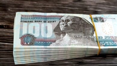 رفع مرتبات الحكومة 200% رسميًا لهؤلاء الموظفين.. هل أنت منهم؟