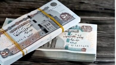 زيادة المرتبات 600% لهذه الفئات من موظفي الحكومة.. هل أنت منهم؟