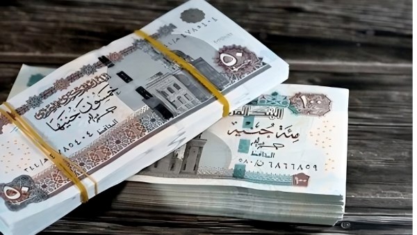 زيادة المرتبات 600% لهذه الفئات من موظفي الحكومة.. هل أنت منهم؟