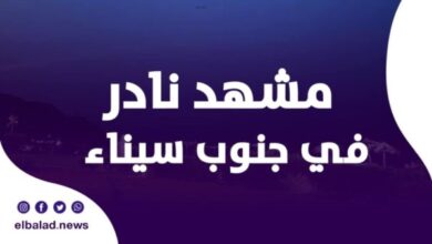 سحب أرجوانية تخطف الأنظار في سماء شرم الشيخ ودهب ونويبع.. ما القصة؟
