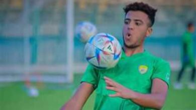 غياب أحمد ربيع عن مران البنك الأهلي.. والقلعة البيضاء تجهز الصفقة