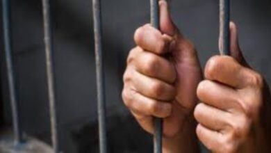 قرار عاجل بشأن ديلر كوكايين في الشيخ زايد