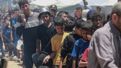مجلس الوزراء يوافق على إنشاء مناطق مساعدات إنسانية في قطاع غزة