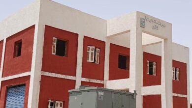 مشروعات حياة كريمة بأسوان تفرح أهالى القرى المدرجة ضمن المبادرة الرئاسية