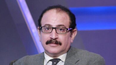 مصر أعادت إحياء فكرة الدائرة الأفريقية